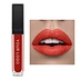 High Pigment Shiny Glossy